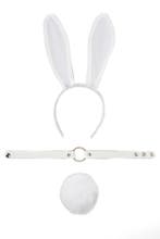 Haarband Set Bunny Wit Gaas Konijn Oren Staart Choker Diadee, Ophalen of Verzenden, Nieuw, Carnaval, Accessoires