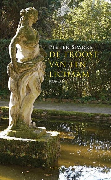 De troost van een lichaam - Pieter Sparre 9789461536259, Boeken, Verzenden, Gelezen, Pieter Sparre