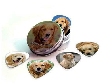 Blikje of display + plectrums van Golden Retriever hond, Ophalen of Verzenden, Nieuw