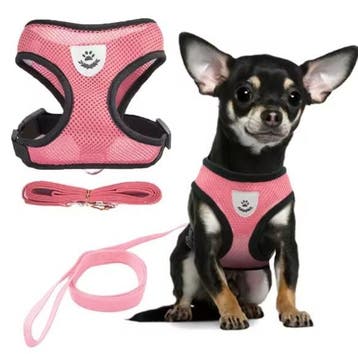 Honden- en Kattenharnas Verstelbaar – Ademend Vest + Riem, Dieren en Toebehoren, Verzenden, Nieuw