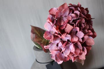 Sylxz Hortensia oud roze 65 cm, Huis en Inrichting, Woonaccessoires | Kunstplanten en Kunstbloemen, Ophalen of Verzenden, Nieuw