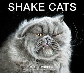 Shake Cats 9780062351746 Carli Davidson, Verzenden, Zo goed als nieuw, Carli Davidson