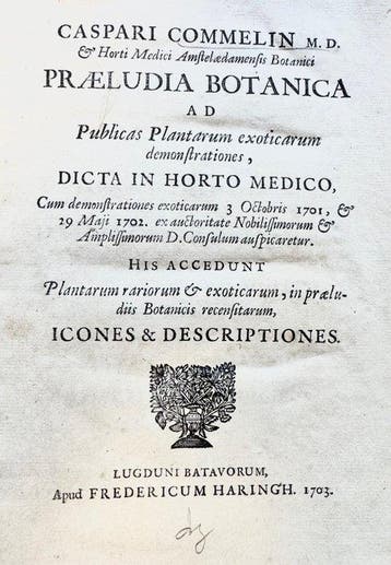 Caspar Commelin - Praeludia botanica - 1703, Antiek en Kunst, Antiek | Boeken en Bijbels