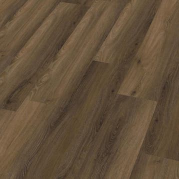 Paddington dryback warm brown, Verzenden, Nieuw