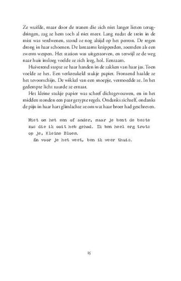 Hemelse rivalen / Letters of Enchantment / 1 9789044368758, Boeken, Verzenden, Zo goed als nieuw, Rebecca Ross