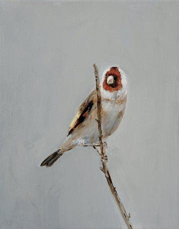 Matthieu van Riel - Distelvink