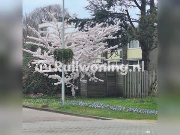 2kamer woning mt tuin 10 bij 4.5 meter eigen gratis parkeer, Amsterdam