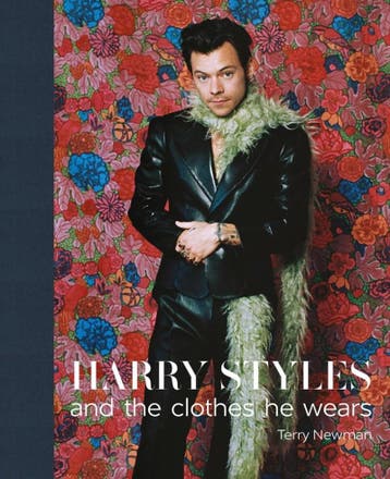 Harry Styles and the clothes he wears - Terry Newman, Verzenden, Zo goed als nieuw, Terry Newman