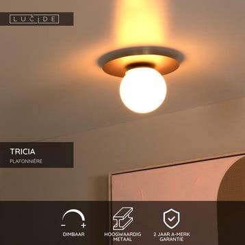 2dekans | Lucide TRICIA - Plafonnière (Plafondlamp) - Ø 25, Huis en Inrichting, Ophalen of Verzenden, Zo goed als nieuw