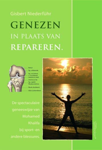 Genezen in plaats van repareren - G. Niederführ, Boeken, Verzenden, Gelezen, G. Niederführ