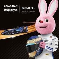 Duracell Plus AA - alkaline batterijen - 1,5V, LR6 - 12 stuk, Verzenden, Nieuw