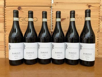 2019 Alberto Ballarin Bussia - Barolo - 6 Flessen (0.75, Nieuw