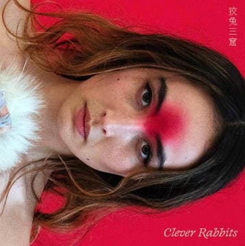 lp nieuw - ann liu cannon - CLEVER RABBITS (nieuw), Verzenden, Zo goed als nieuw, Overige formaten