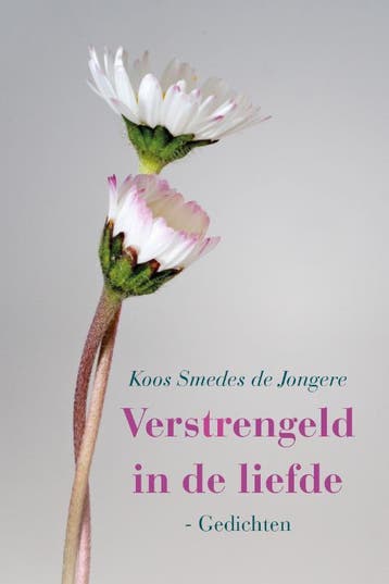 Verstrengeld in de liefde 9789051799798 Koos Smedes, Verzenden, Zo goed als nieuw, Koos Smedes