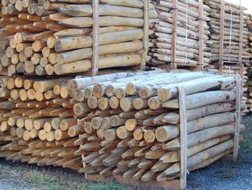 Kastanje palen Afrastering weidepalen Boompalen, Ophalen, Nieuw, Palen, Hardhout