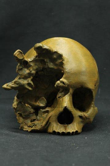 Ontplofte menselijke schedel-replica Schedel - - - 16 cm -