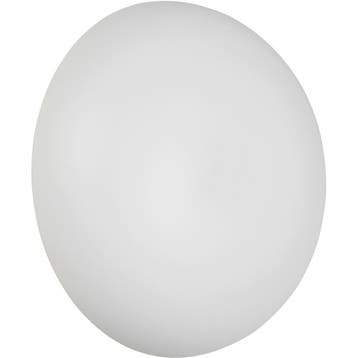 LED Wandlamp - Trion Phelix - 1 Lichtpunt van 1.5 Watt -, Ophalen of Verzenden, Nieuw, Metaal, Overige fittingen