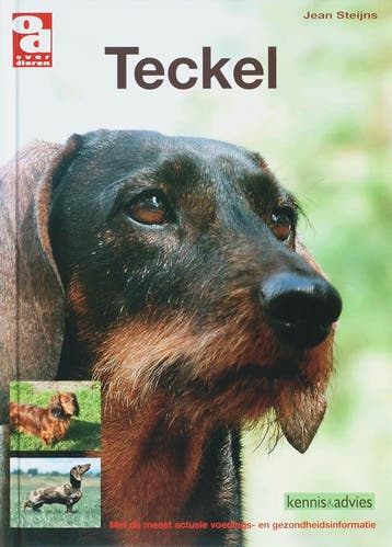 Teckel / Over Dieren - J. Steijns 9789058216045, Boeken, Verzenden, Zo goed als nieuw, J. Steijns