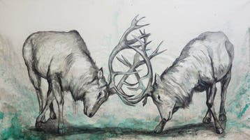 Sonny Insinna - Travel – The Last Confrontation, Antiek en Kunst