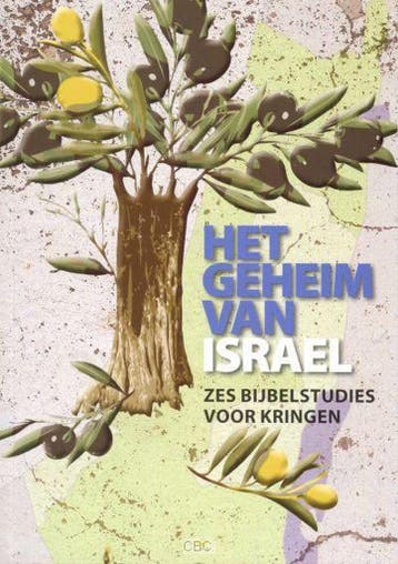 Geheim van israel - Kees de Vreugd 9789073632288, Boeken, Verzenden, Zo goed als nieuw, Kees de Vreugd