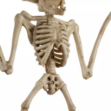 Malatec Vleermuis Skelet - Griezelige Halloween Decoratie..., Ophalen of Verzenden, Nieuw