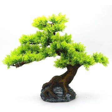 Bonsaiboom 34cm / Aquariumdecoratie As-210 (Hardscaping), Verzenden, Nieuw, Gevuld zeewateraquarium