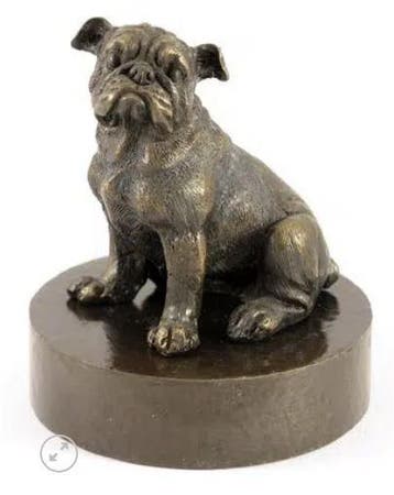 Honden urn verbronsd Bulldog, Nieuw