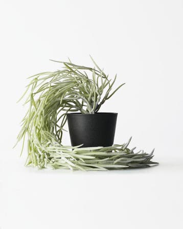 HEMA Kunstplant hangplant 55cm van €8.89 voor €6.22 sale, Verzenden