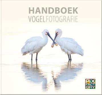 Handboek Vogelfotografie / Handboeken Natuurfotografie / 1, Verzenden, Zo goed als nieuw, Daan Schoonhoven