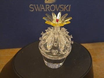 Swarovski - Beeld, Cactus bloeiend - 291549 - Box +
