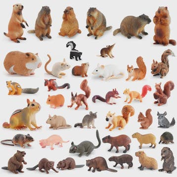 Realistische Dierenfiguren Collectie: Knaagdieren & Wilde Di