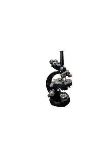Stereo microscope - trinocular head - 1950-1960 - Zeiss
