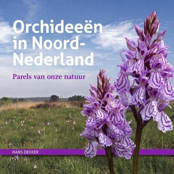 Orchideeën in Noord-Nederland - Hans Dekker 9789023254850, Boeken, Verzenden, Zo goed als nieuw, Hans Dekker