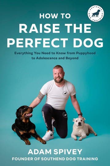 How to Raise the Perfect Dog - Adam Spivey 9780593797099, Verzenden, Gelezen, Adam Spivey