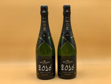 2016 Moët & Chandon, Grand Vintage - Champagne Extra Brut -, Nieuw