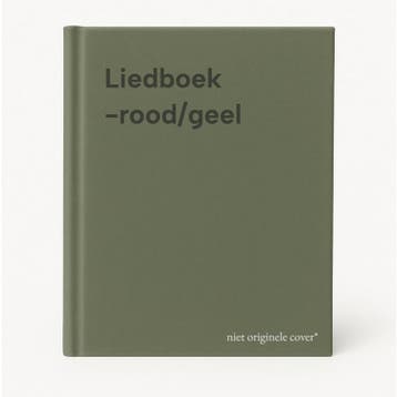Liedboek -rood/geel 9789491575006, Verzenden, Gelezen