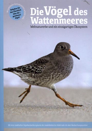 Die Vögel Des Wattenmeeres | Marc Plomp; Roy Haas | Nieuw, Ophalen of Verzenden, Nieuw, Marc Plomp; Roy Haas