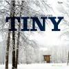 Tiny houses - Mimi Zeiger 9780847832033, Verzenden, Gelezen, Mimi Zeiger