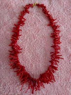 Bloedkoraal Koraal - Corallium rubrum