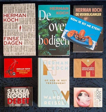 Herman Koch (en een beetje Saskia Noort) - De voorbijganger