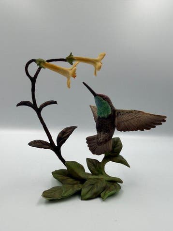 Rivoli & Bois-Pissenlits Hummingbird – The Hummingbirds,