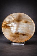 Natuurlijke Golden Healer Kwartskom – Zeldzaam, Verzamelen, Mineralen en Fossielen