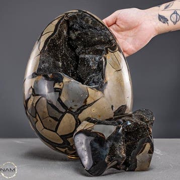Natuurlijk draak-septariën-ei uit Madagaskar – 13,3 kg