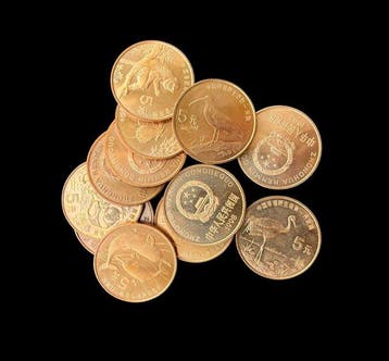 China. 5 Yuan Série Animaux Protégés, 12 Monnaies 1993-1999