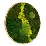 Vintlux Mosschilderij Rond 100 cm Ongelakt Eiken - Uppsala, Huis en Inrichting, Nieuw