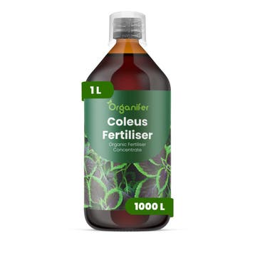 Coleus Vloeibare meststof - 1 liter, Verzenden, Mest