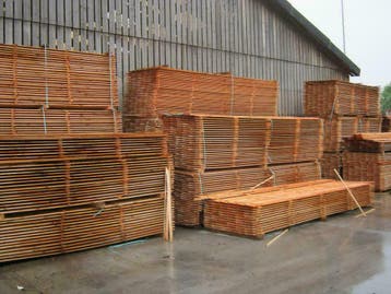 Zweeds Rabat/ Potdekselplank 175mm werkend,  Douglas, 25 tot 50 mm, Nieuw, Plank, 300 cm of meer