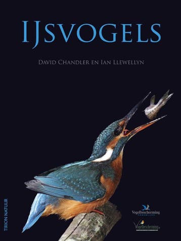 IJsvogels - David Chandler 9789052108186, Verzenden, Zo goed als nieuw, David Chandler