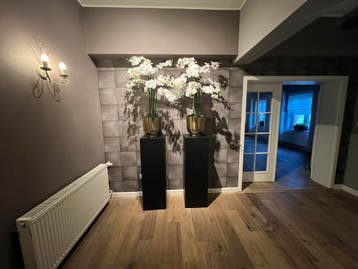 Luxe VakantieVilla met Bioscoop, Bar, Sauna en Whirlpool, Groepsaccommodatie, Afwasmachine, Noord-Duitsland, Landelijk