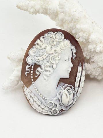 CASSIS MADAGASCARIENSIS - Cameo - Handgesneden camee